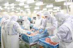 食品污水处理方案 食品污水处理方案